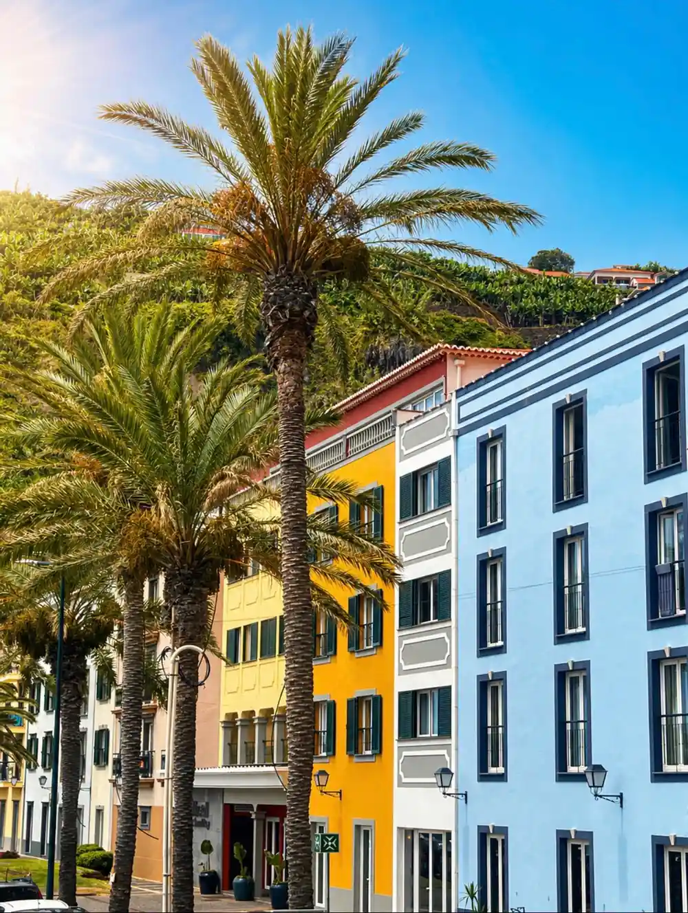 Colorful historic buildings with palm trees on street