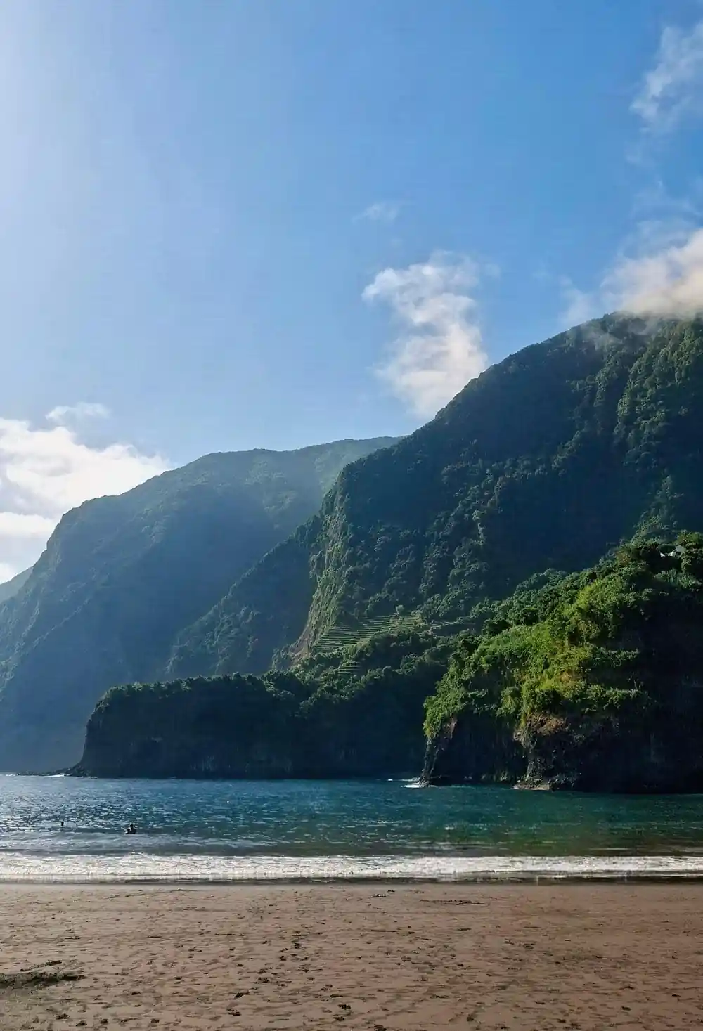 Green lush hillside with traditional bent tree trunk