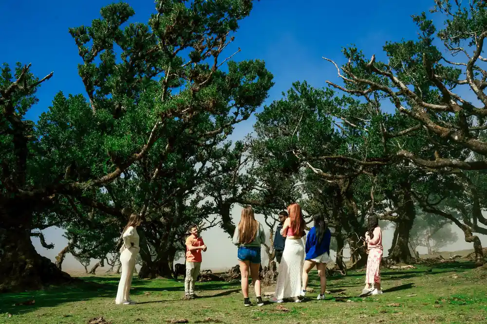 Group of people gathered under large spreading trees