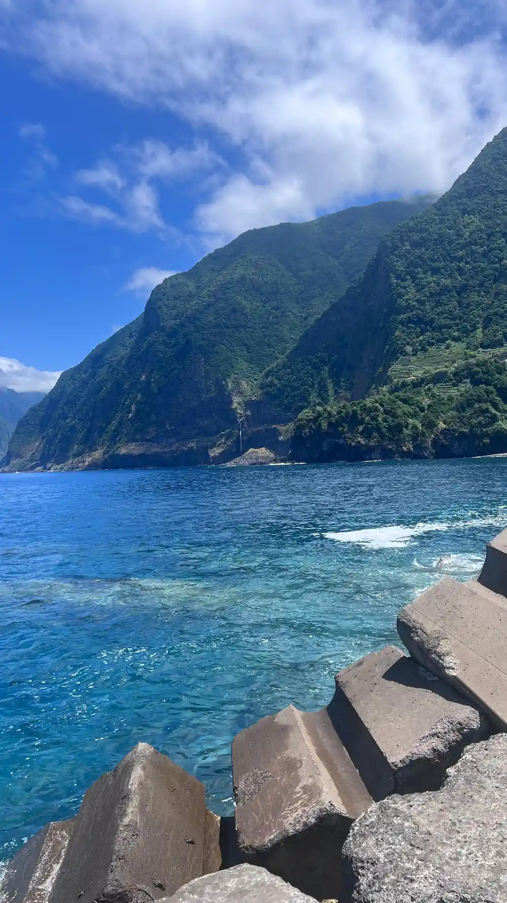 Rocky shore with steep forested mountain cliffs and blue sea